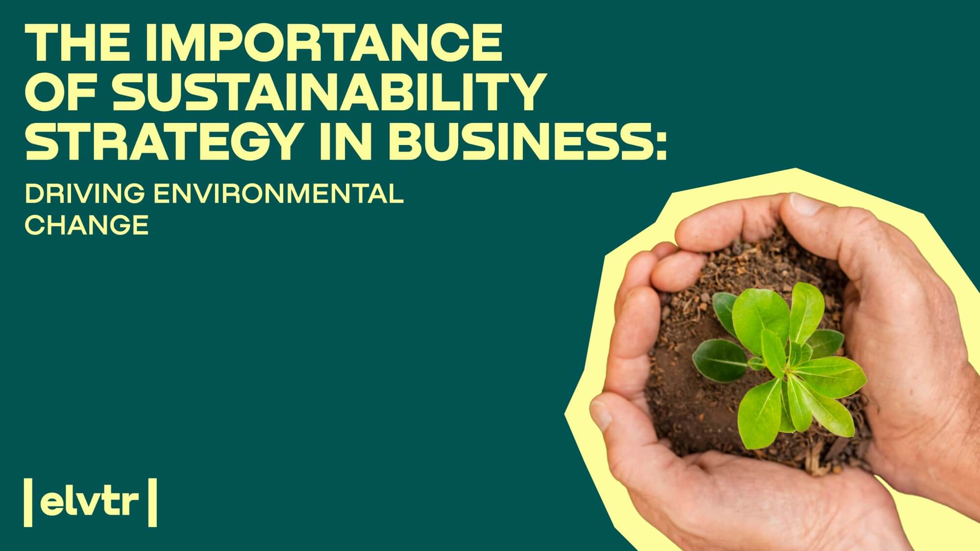 The Importance of Sustainability Strategy in Business: Driving Environmental Change