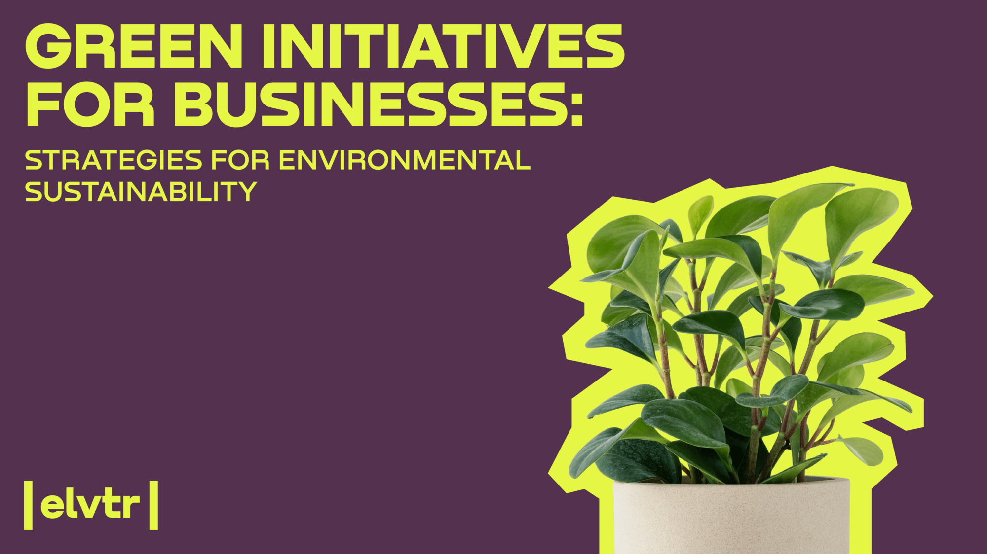 Green Initiatives for Businesses: Strategies for Environmental Sustainability